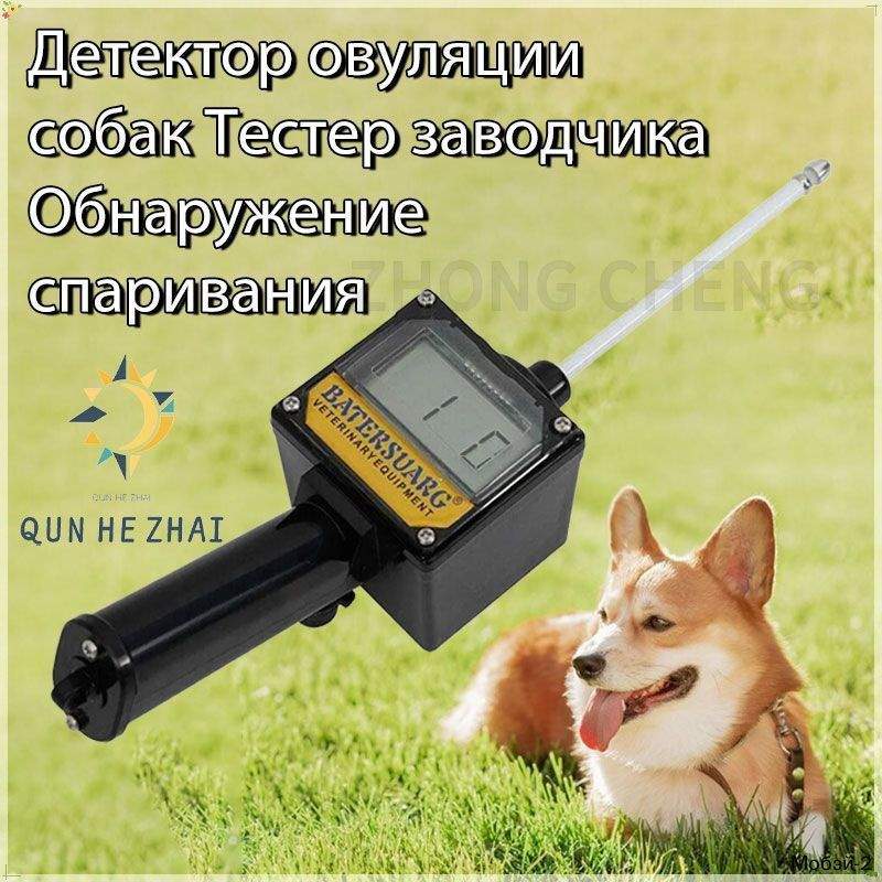 Экспресс-тест для животных #1
