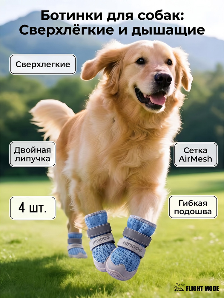 Обувь для собак #1