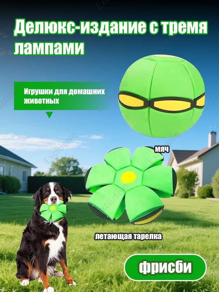 Фрисби #1