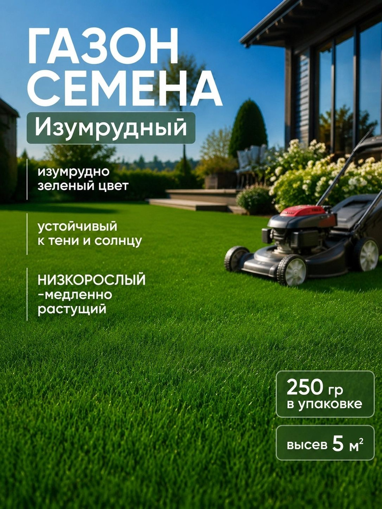 Семена #1