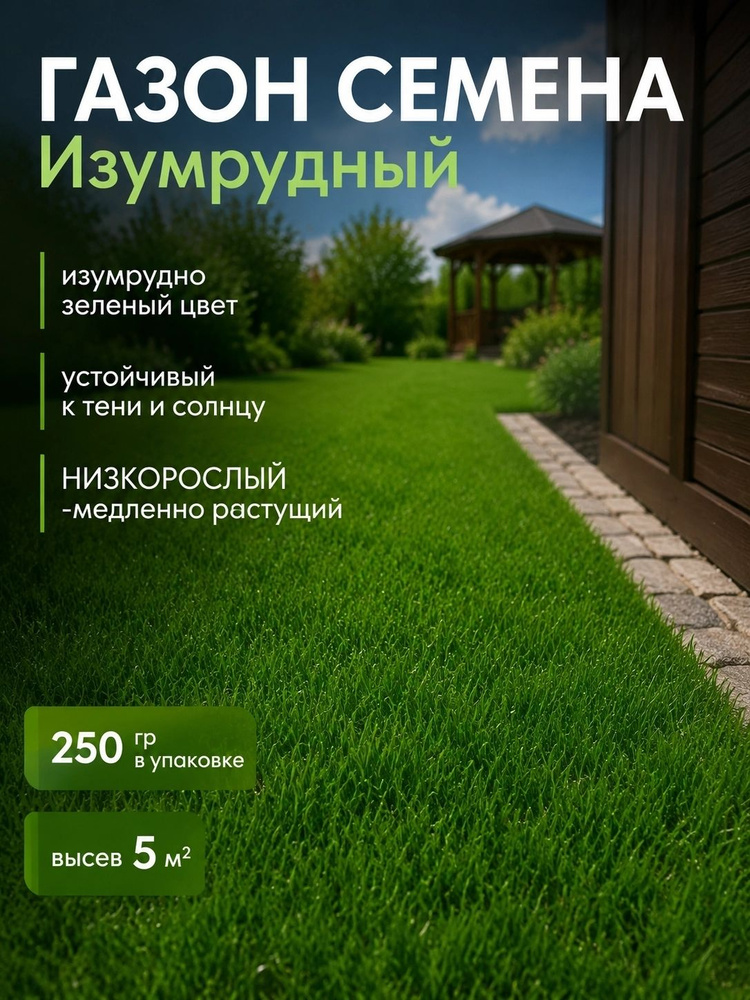 Семена #1