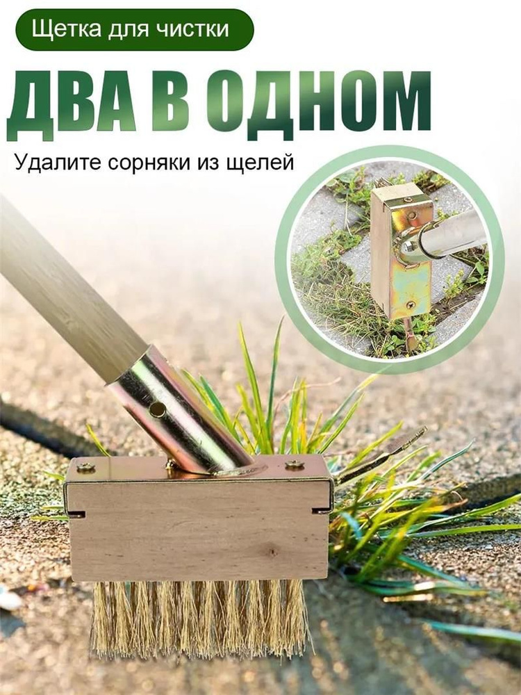Мох #1