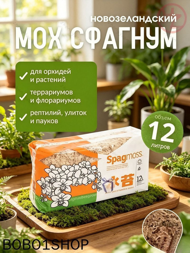 Мох #1