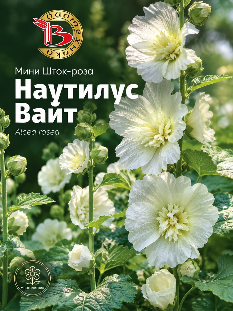 Шток-Роза МИНИ махровая НАУТИЛУС ВАЙТ (Семена Биотехника, 8 шт. семян в упаковке) #1