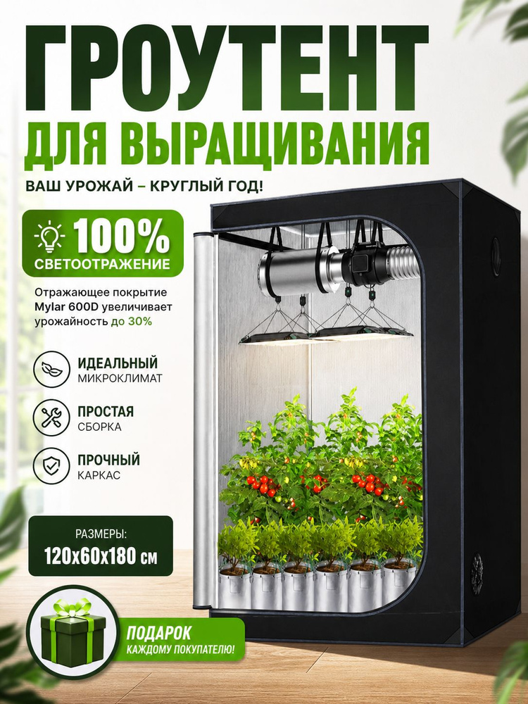 Гроубокс #1