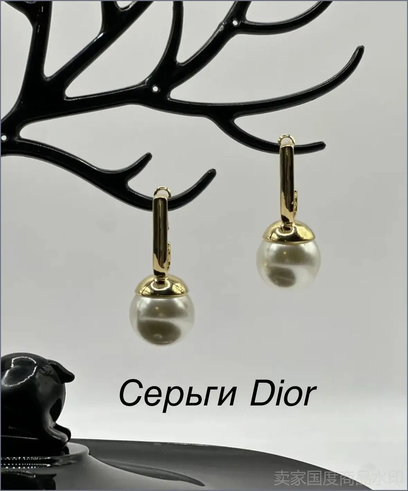 Dior Серьги #1