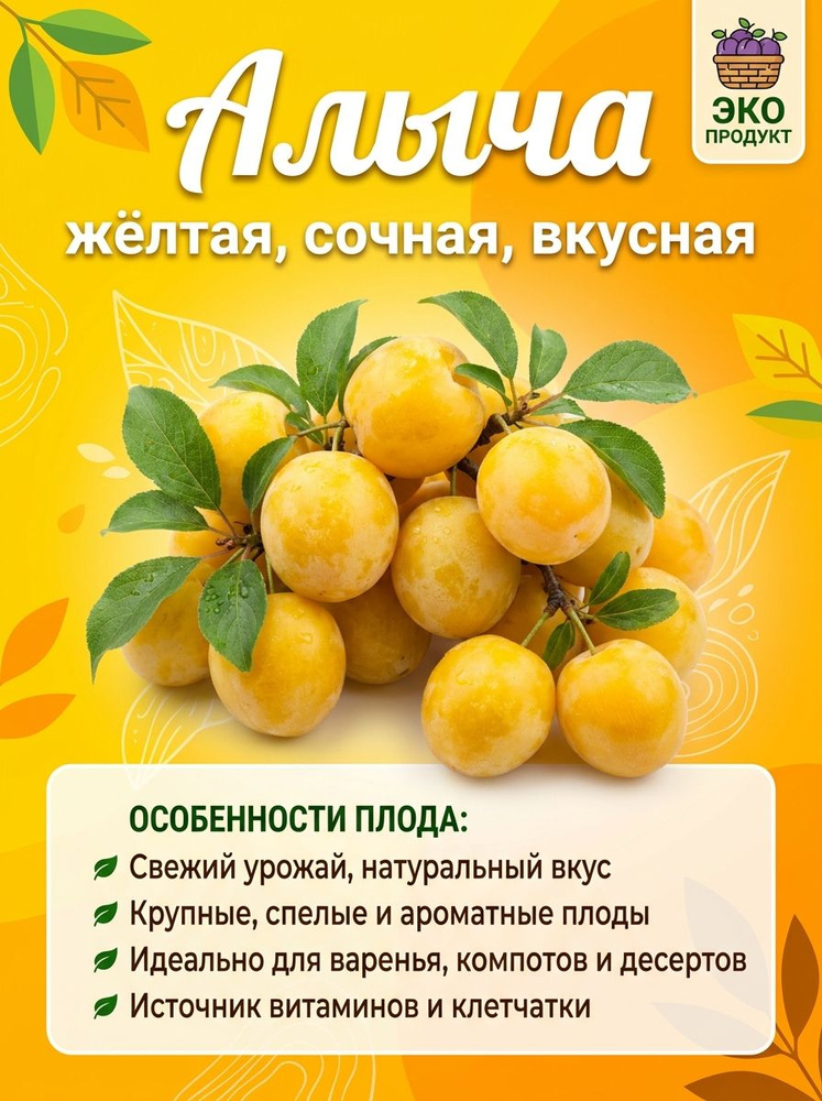 Алыча Саженец #1