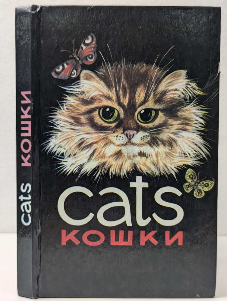 Кошки #1