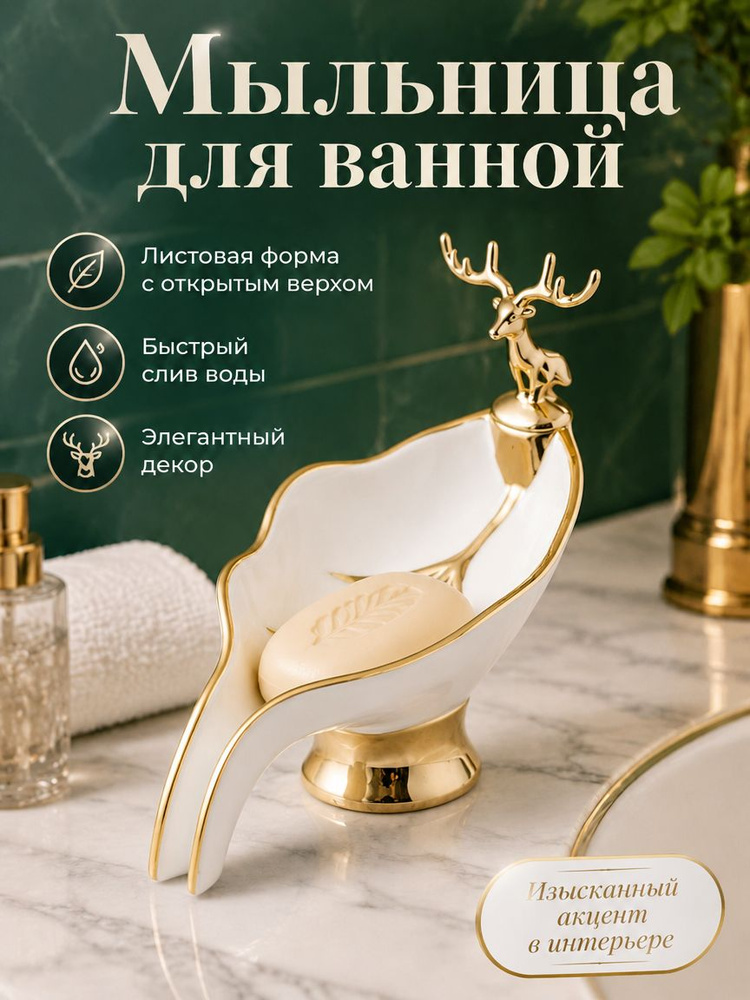 Мыльница #1