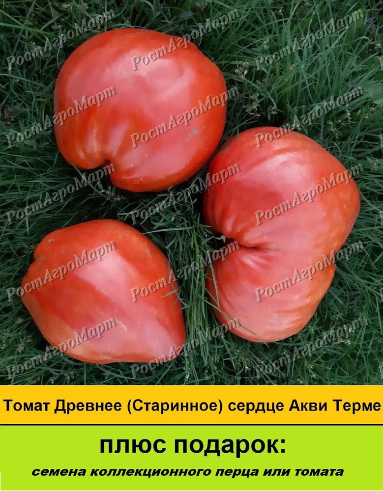 Семена #1