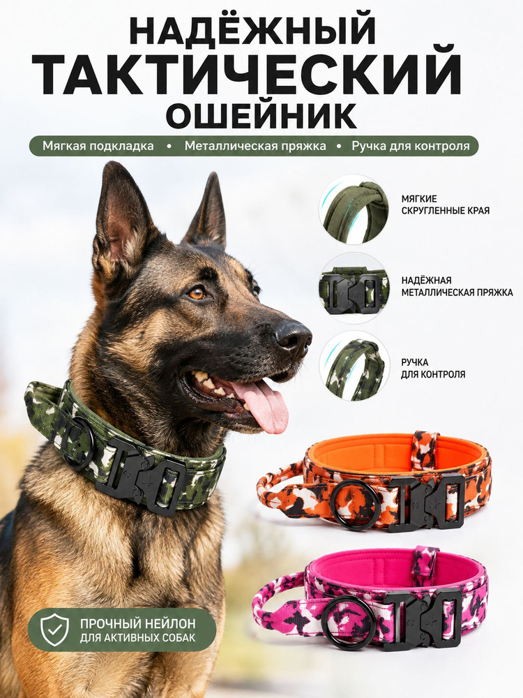 Ошейник #1