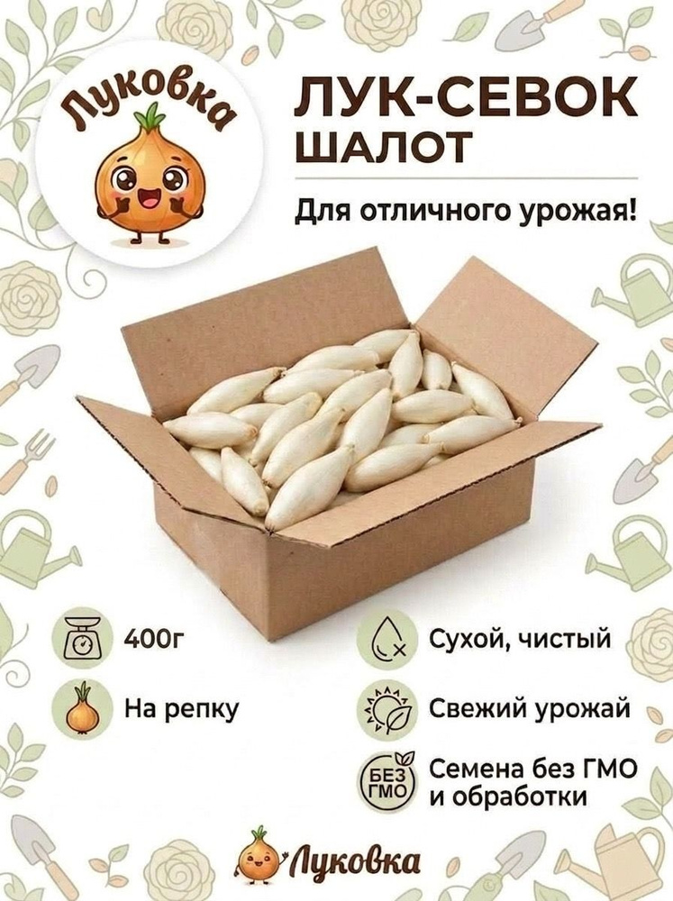 Лук севок на посадку под зиму на репку шалот белый 400г #1