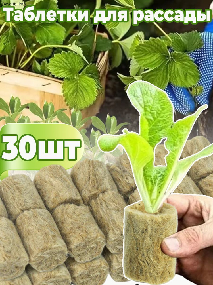 Таблетки торфяные #1