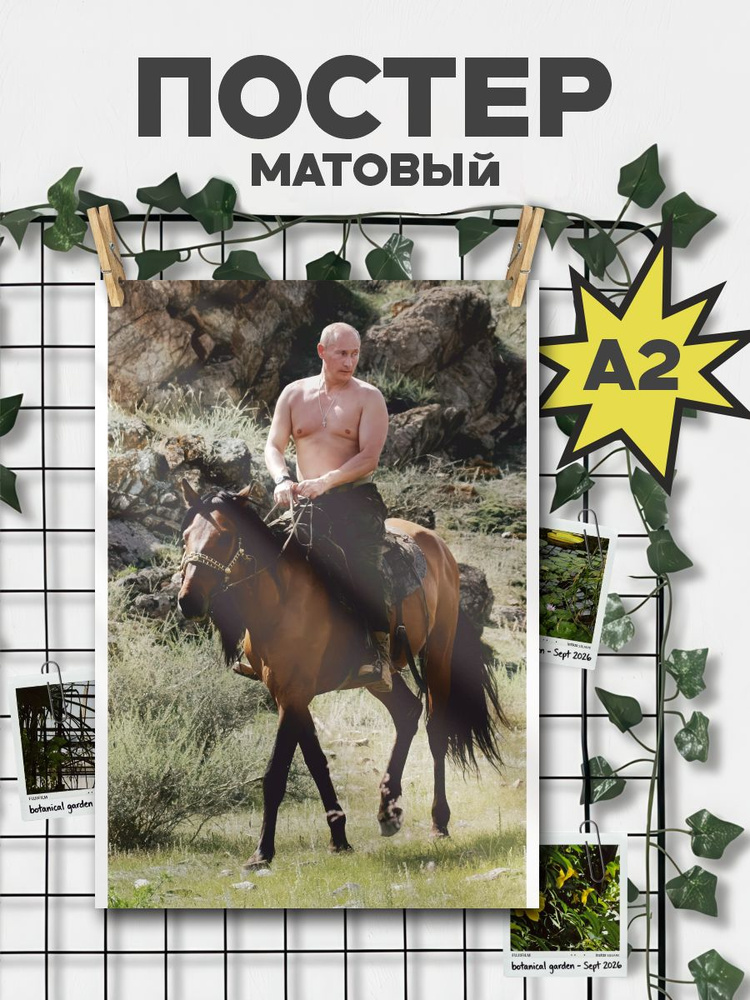 ChilArt Постер #1