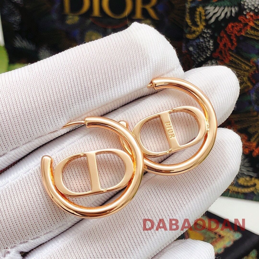 Dior Серьги #1