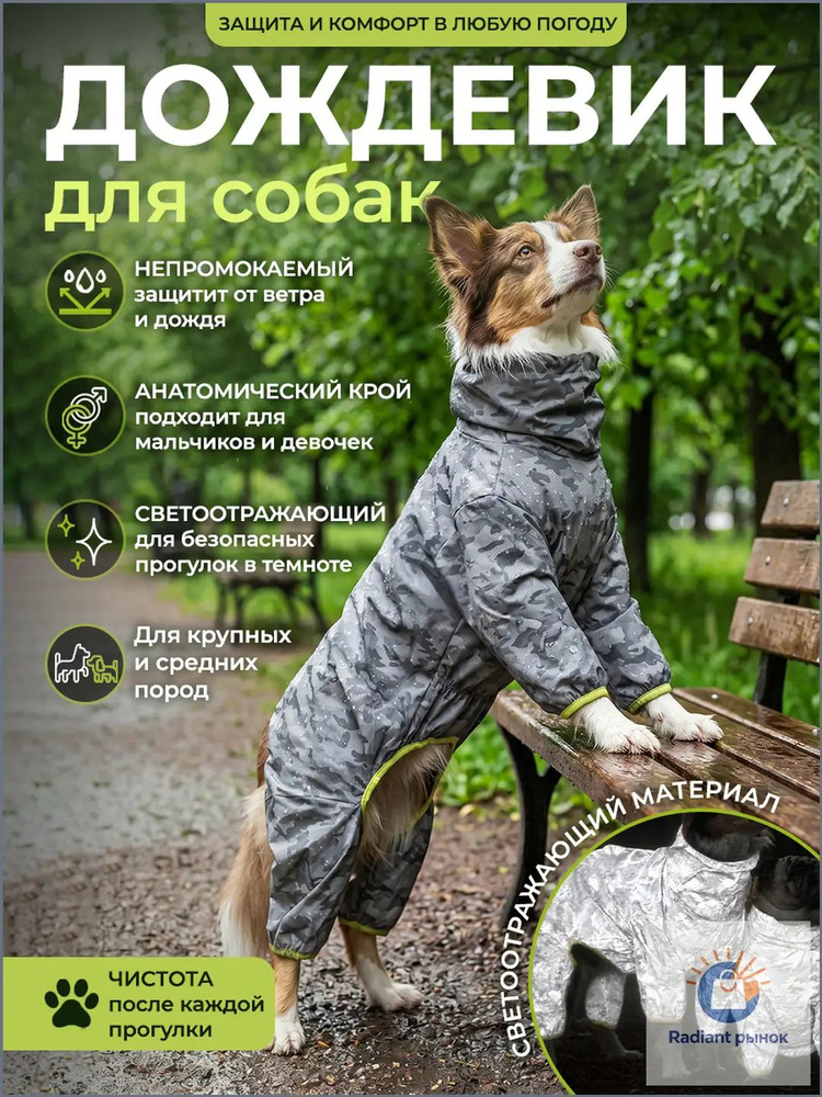 Одежда для животных #1