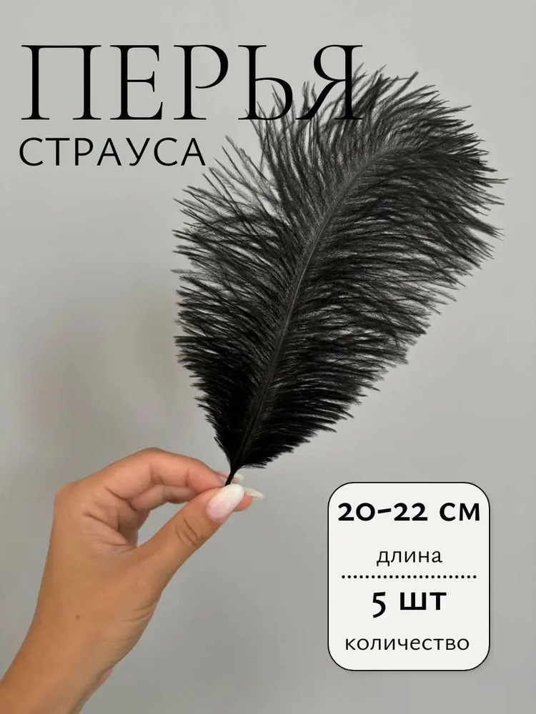 Перья страуса #1