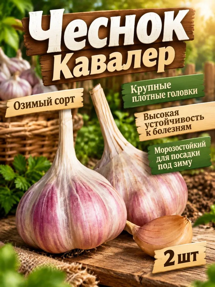 Семена ,2шт #1