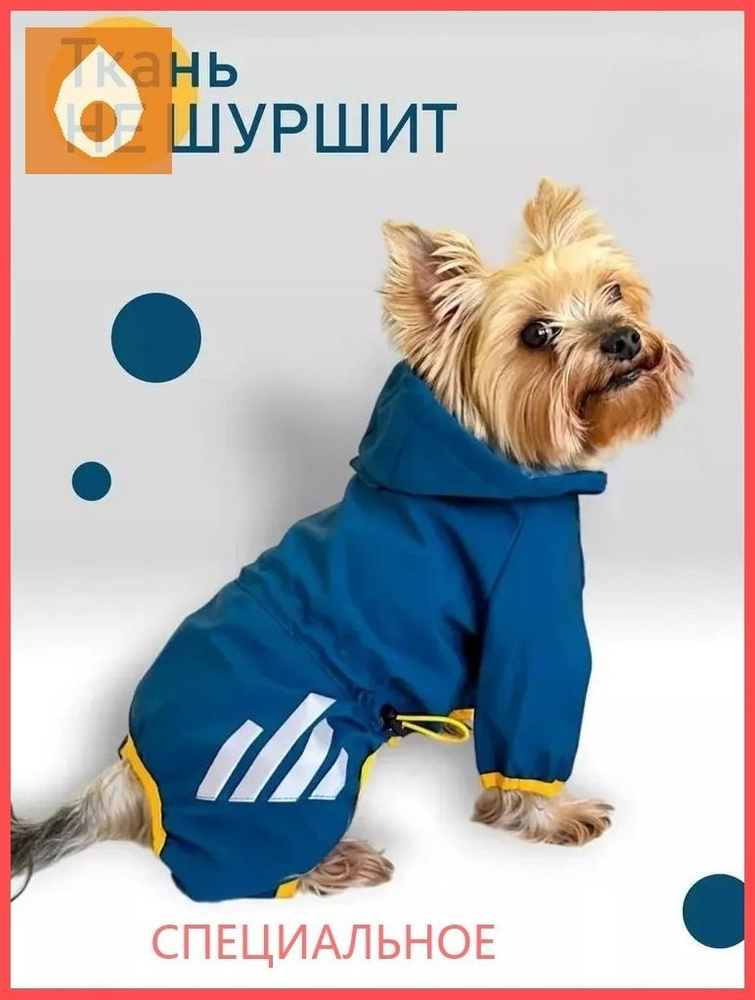 Одежда для собак дождевик #1