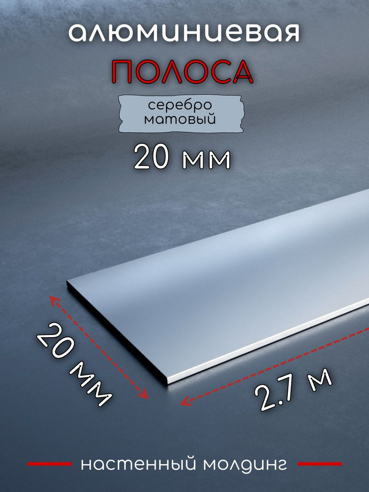 Алюминиевая полоса декоративный молдинг DIELE 20х1,5мм серебро/мат длина 2,7м #1