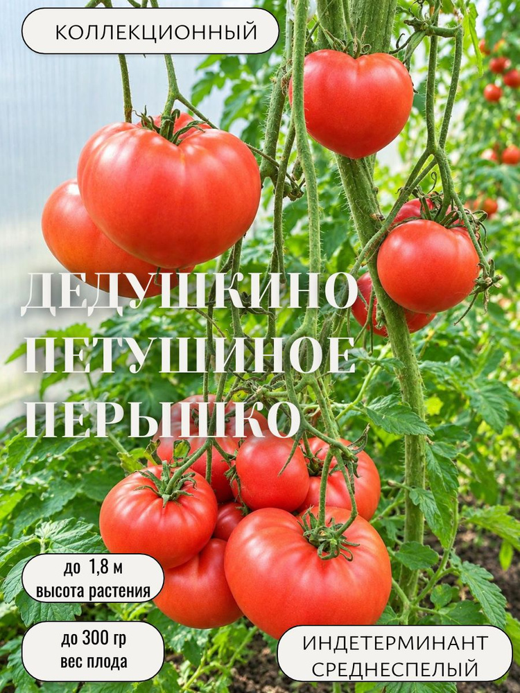 Семена #1