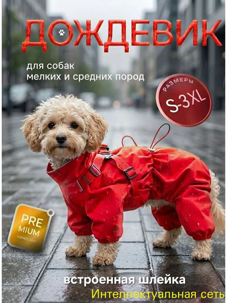 Дождевик для собак #1