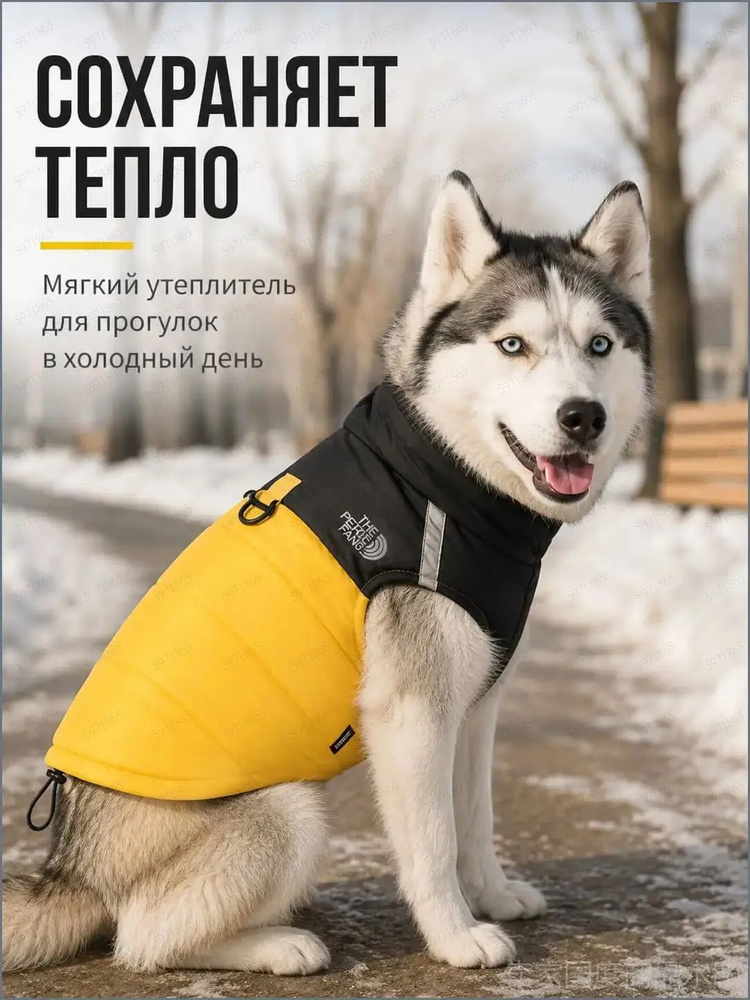 Одежда для животных #1
