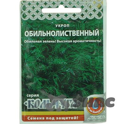семена укропа #1