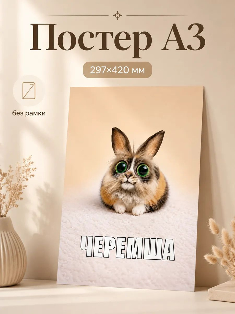 Постер Котость #1