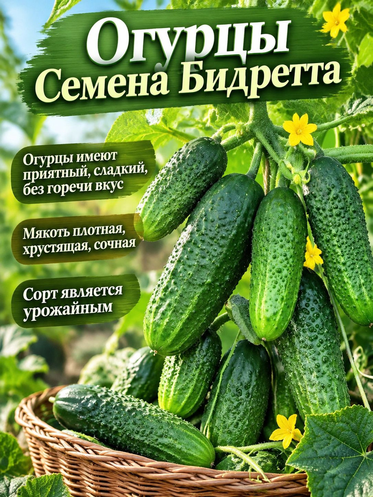 Семена ,10шт #1