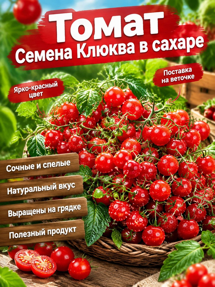 Семена ,10шт #1