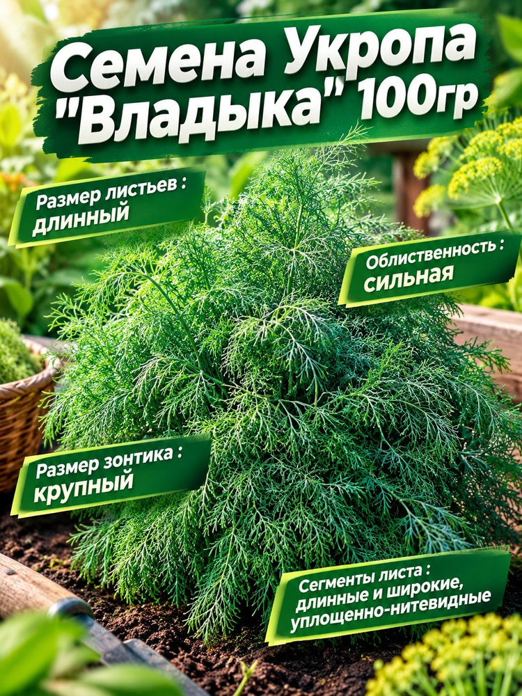 Семена #1