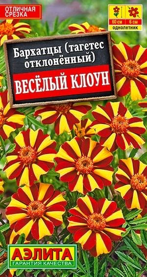 БАРХАТЦЫ ВЕСЕЛЫЙ КЛОУН. Семена. Вес 0,1 гр. Уникальный сорт в группе отклоненных бархатцев.  #1