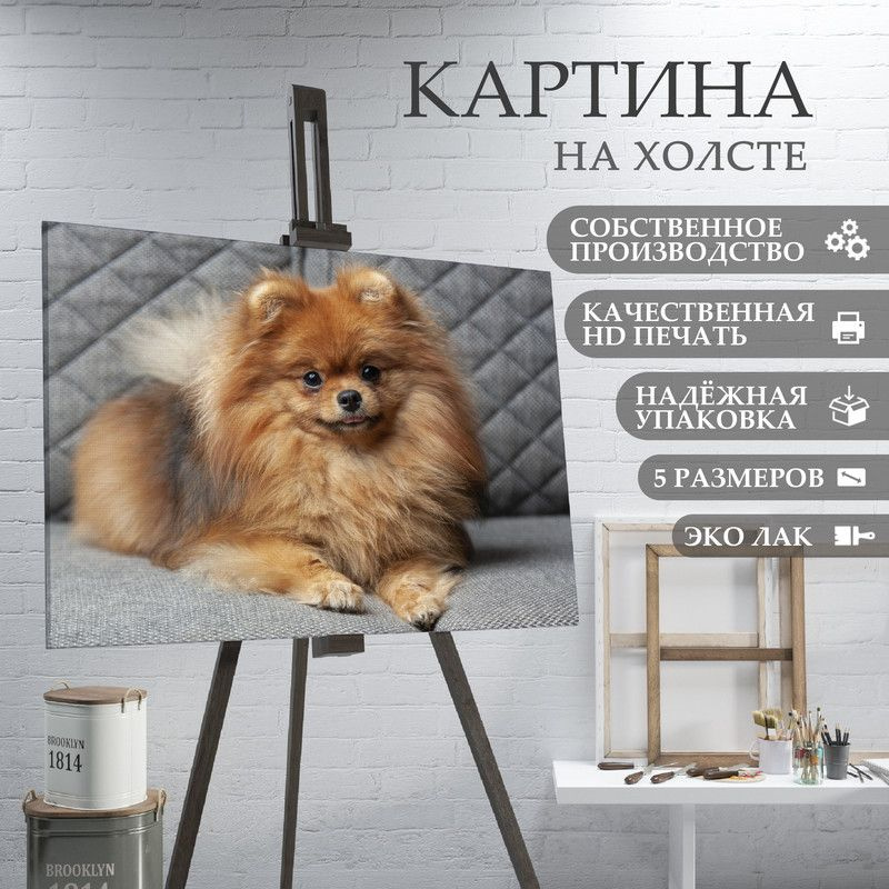 ArtPrintPro Картина "Милая собака Шпиц (15)", 40  х 30 см #1