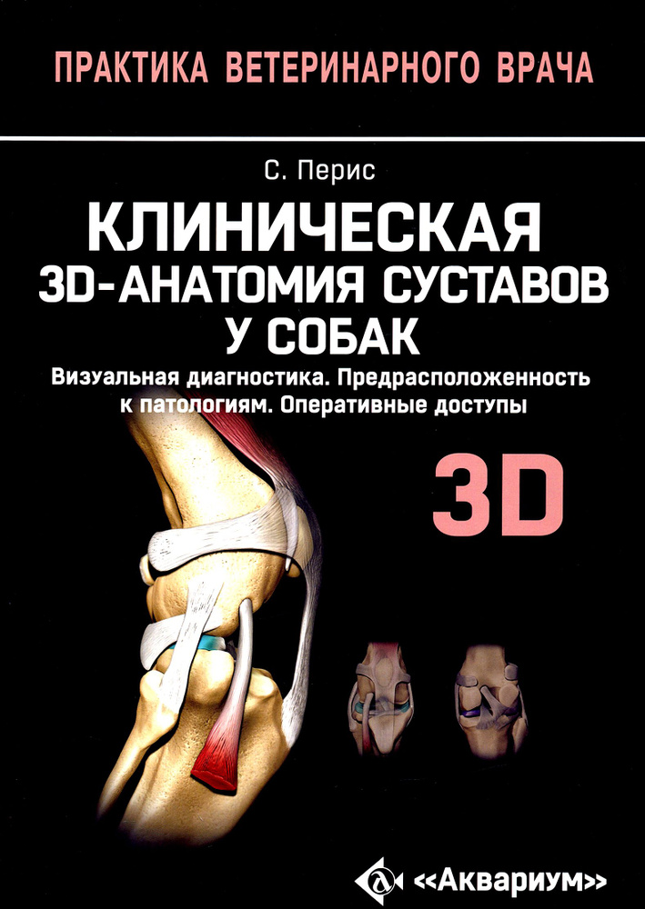 Клиническая 3D-анатомия суставов у собак. Визуальная диагностика. Предрасположенность к патологиям | #1