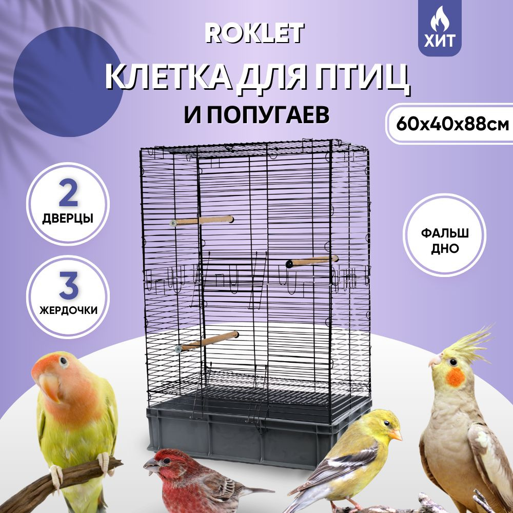 Клетка — дом для попугая