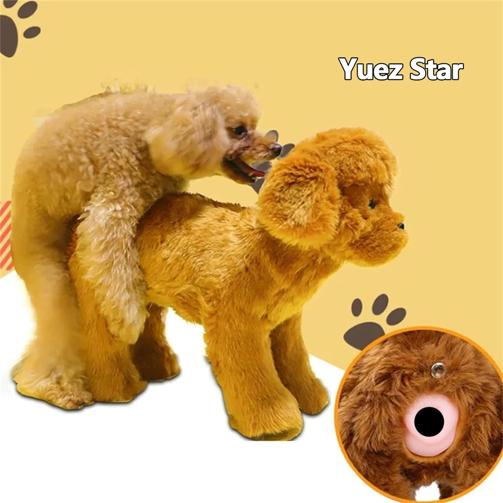 Член кобеля фото