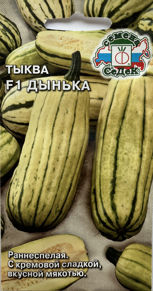Тыква Дынька F1, семена 1 г, Седек (1 упаковка) #1