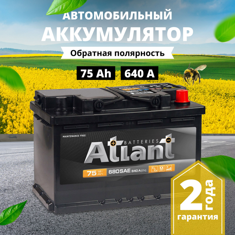 Аккумулятор автомобильный ATLANT Атлант купить по выгодной цене в  интернет-магазине OZON (1508690910)