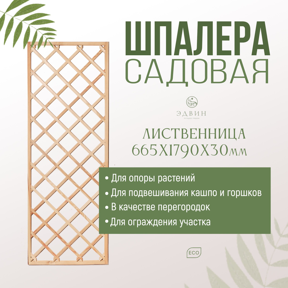 Шпалера садовая, деревянная, ЭДВИН, 66х179см - купить по выгодной цене в  интернет-магазине OZON (1503276507)