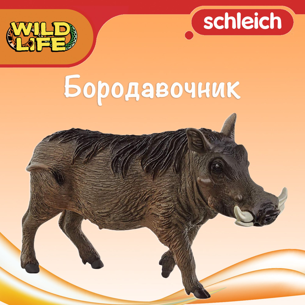 Фигурка "Бородавочник" Schleich Wild Life/ для детей от 3 лет/ Шляйх 14843  #1