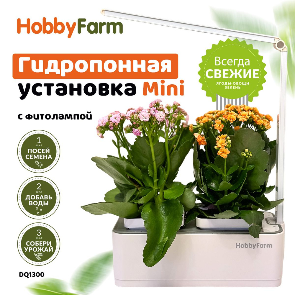 Гидропонная установка HobbyFarm Mini DQ1300 с фитолампой, смарт сад, огород  на подоконнике