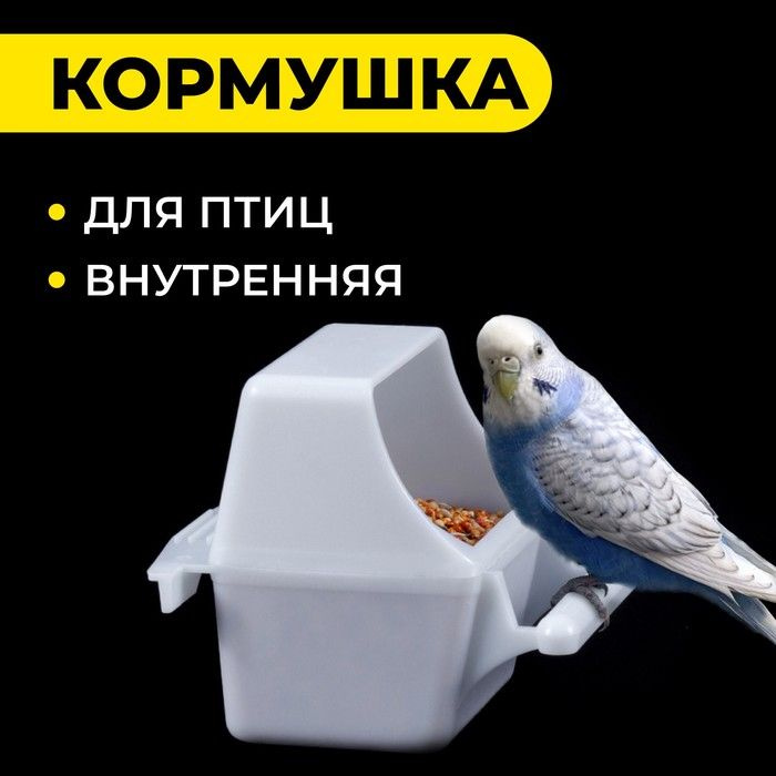 Кормушка для птиц внутренняя, 7,5 х 5,5 х 9 см #1