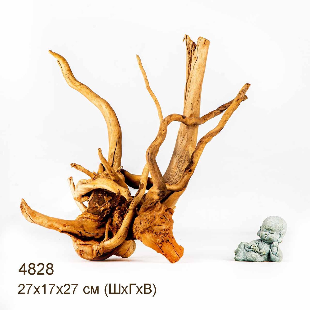 Коряга для аквариума натуральная. Корень Азалии - M. Декорация MASHA ...