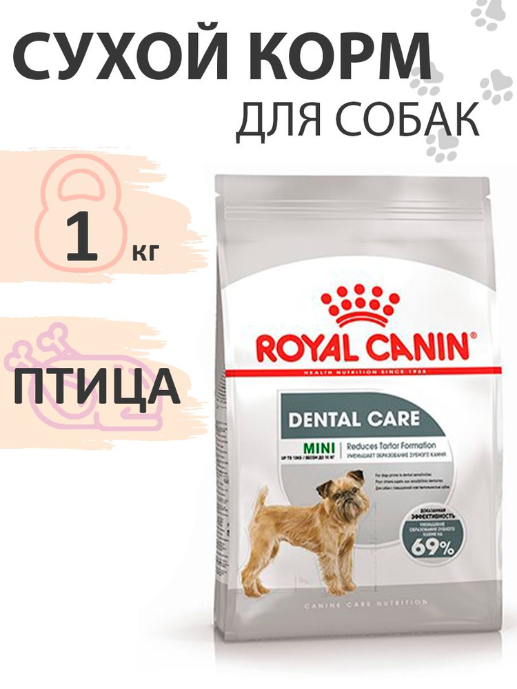 Royal Canin Mini Dental Care 10 1