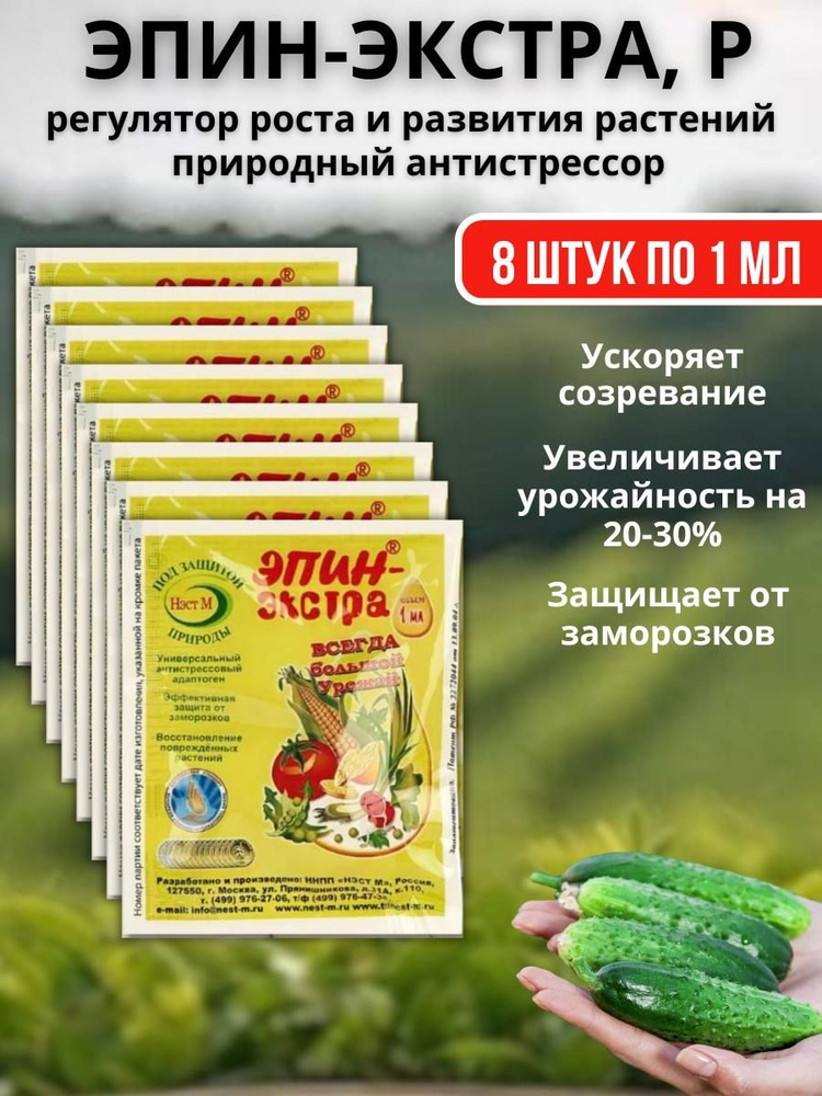 Модульный дом в Белореченск выбрать