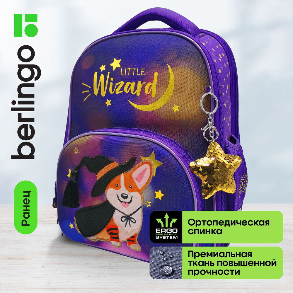 Ранец Berlingo Profi "Little wizard" 36*28*14см, 2 отделения, 4 кармана, анатомическая спинка  #1