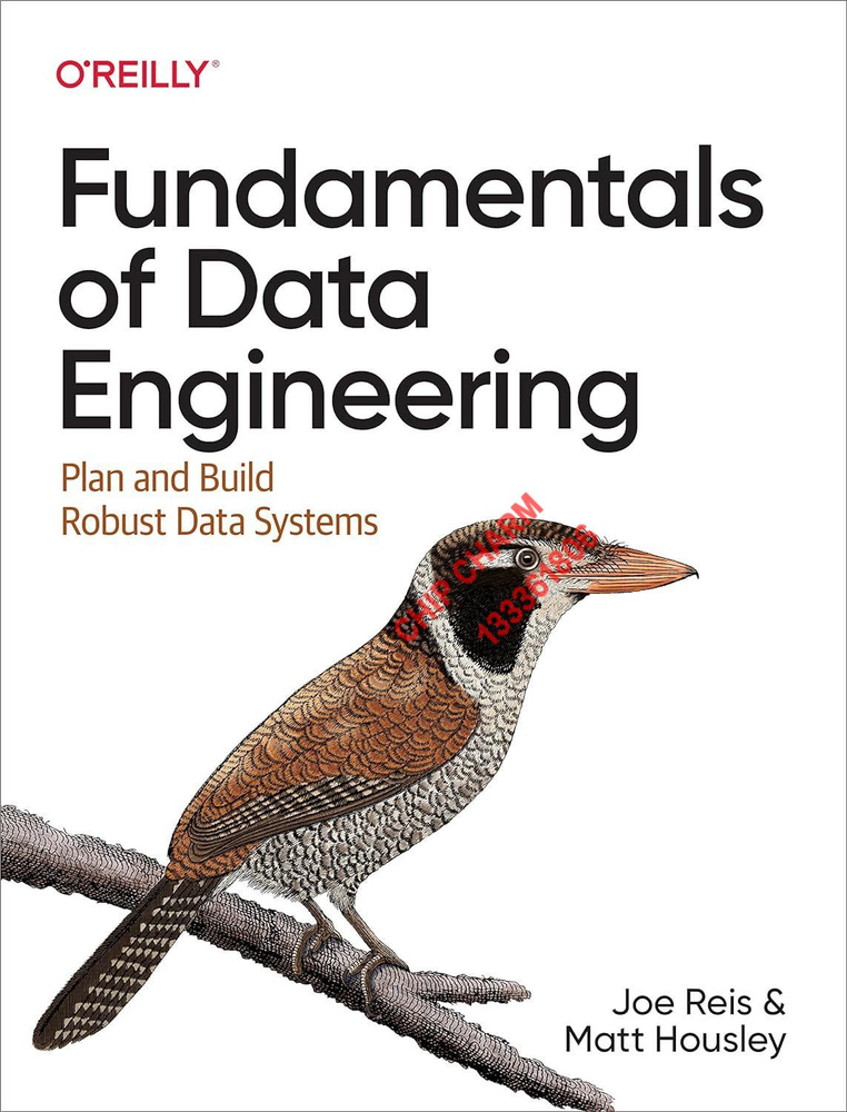 Fundamentals of Data Engineering: Plan and Build Robust Data Systems #1