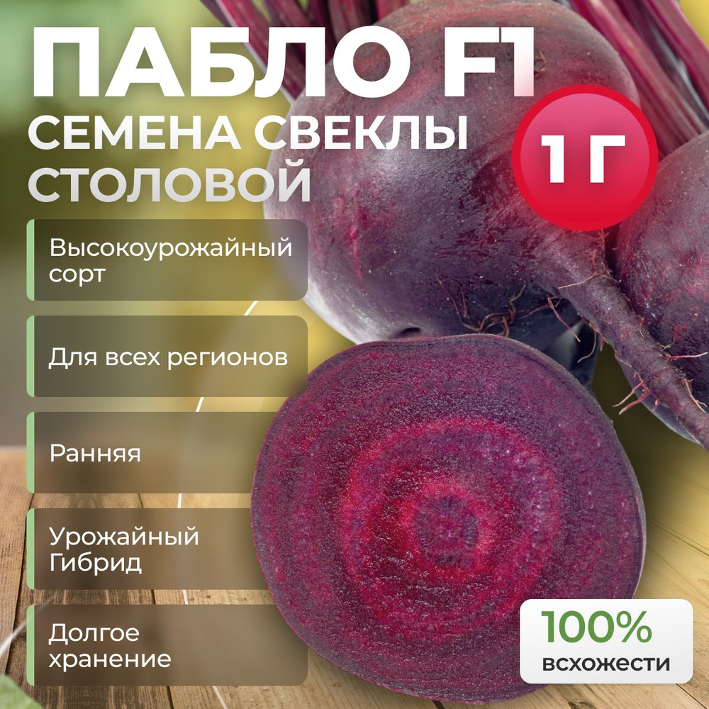 Семена свеклы Пабло F1 столовой от Zaden / ALEXAGRO (1 гр.) для открытого грунта и теплиц  #1