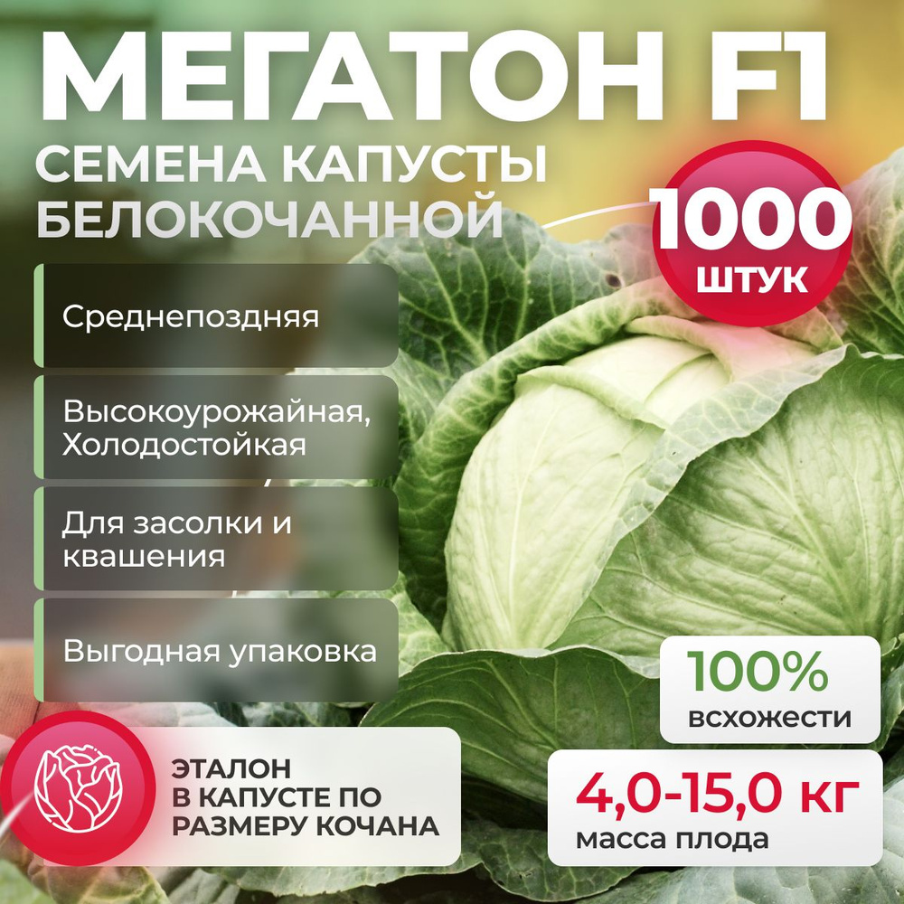 Мегатон F1 семена капусты белокочанной, 1000 шт (Bejo / ALEXAGRO). Высокоурожайный, среднепоздний гибрид #1